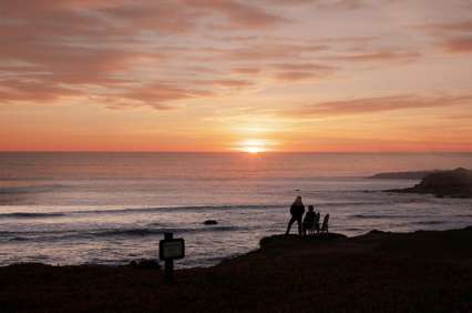 1인 사장님 종합소득세 가이드