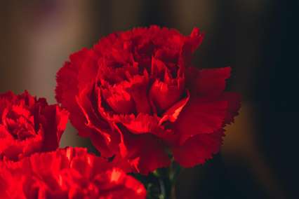 네이버페이, 카카오페이 비교